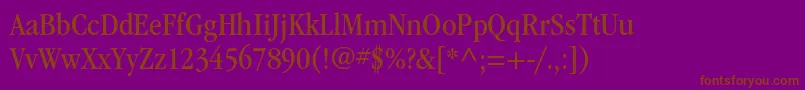 ItcgaramondstdBknarrow Font – Brown Fonts on Purple Background