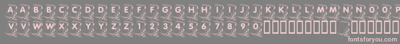 More about LmsPaperWork Font LmsPaperWork Font – Pink Fonts on Gray Background
