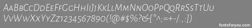 フォントAlegreyasansscLightitalic – 灰色の背景に白い文字
