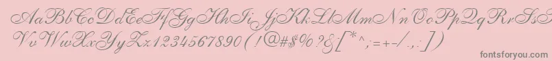 PenTweaksOneSsi-Schriftart – Graue Schriften auf rosa Hintergrund