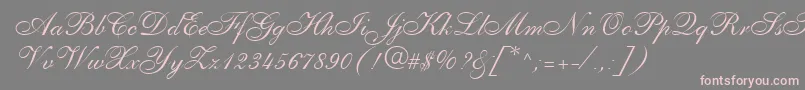 PenTweaksOneSsi Font – Pink Fonts on Gray Background