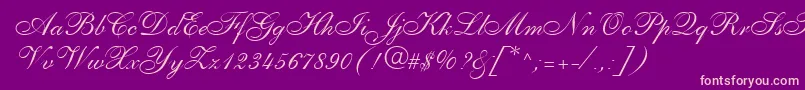 PenTweaksOneSsi Font – Pink Fonts on Purple Background