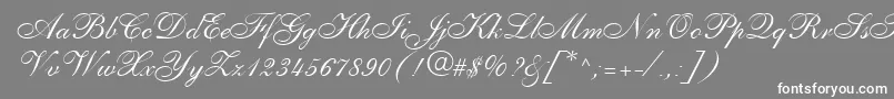PenTweaksOneSsi Font – White Fonts on Gray Background
