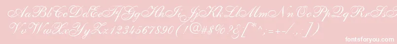 PenTweaksOneSsi Font – White Fonts on Pink Background