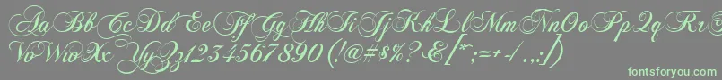 More about Chopinscript Font Chopinscript Font – Green Fonts on Gray Background