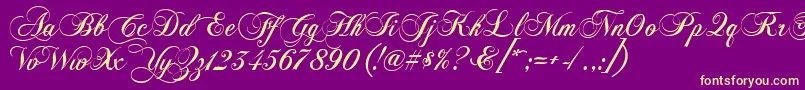 Chopinscript Font – Yellow Fonts on Purple Background