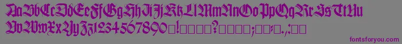 Killig-Schriftart – Violette Schriften auf grauem Hintergrund