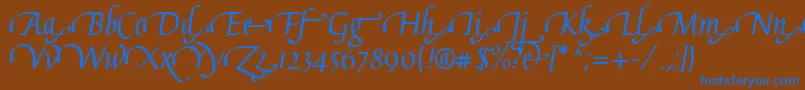 GaiusLtBoldSwashEnd Font – Blue Fonts on Brown Background