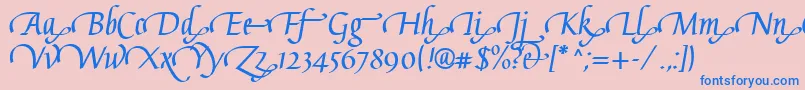 GaiusLtBoldSwashEnd Font – Blue Fonts on Pink Background