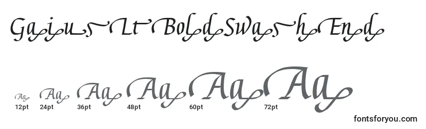 GaiusLtBoldSwashEnd Font Sizes