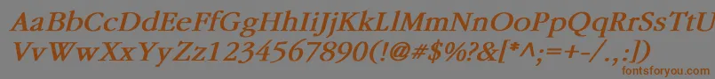 GaramondBoldItalic Font – Brown Fonts on Gray Background