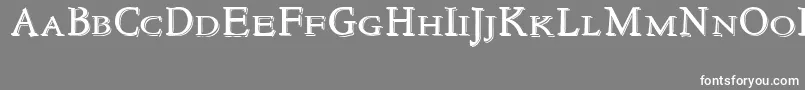 NewstylesmallcapsEmbossed Font – White Fonts on Gray Background