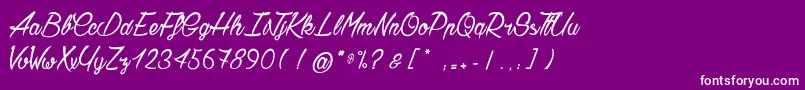 Chardons Font – White Fonts on Purple Background