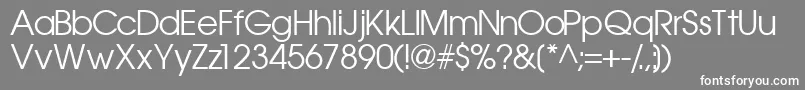 Trendexsskフォントについての詳細 フォントTrendexssk – 灰色の背景に白い文字