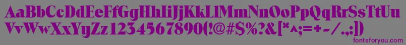 ToledolhBold Font – Purple Fonts on Gray Background