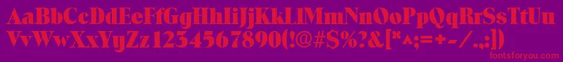 ToledolhBold Font – Red Fonts on Purple Background