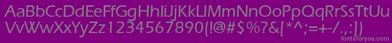 ErlangenmeddbBold Font – Gray Fonts on Purple Background