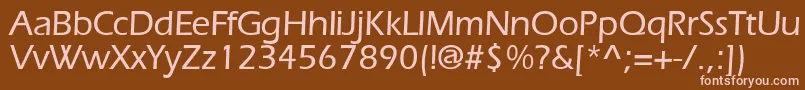 ErlangenmeddbBold Font – Pink Fonts on Brown Background