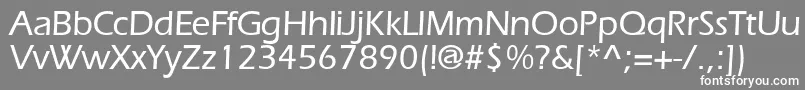 ErlangenmeddbBold Font – White Fonts on Gray Background