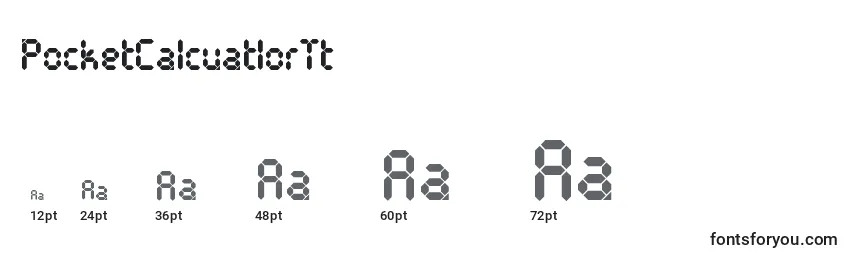 Размеры шрифта PocketCalcuatlorTt