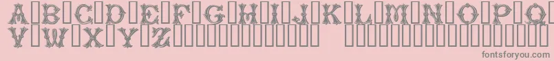PurcellTM Font – Gray Fonts on Pink Background