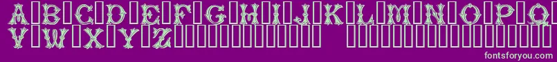 PurcellTM-Schriftart – Grüne Schriften auf violettem Hintergrund