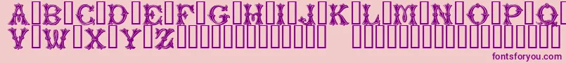 PurcellTM Font – Purple Fonts on Pink Background