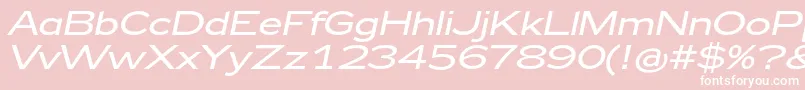 Zeppelin42Italic Font – White Fonts on Pink Background