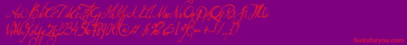 DonQuixote-Schriftart – Rote Schriften auf violettem Hintergrund