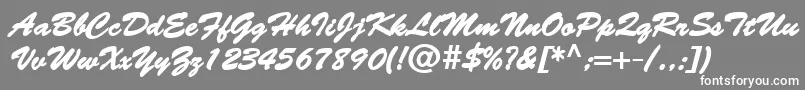 BantyBold Font – White Fonts on Gray Background