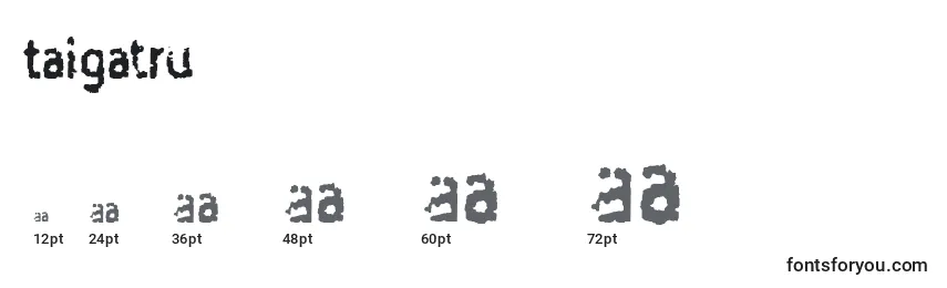 Taigatru Font Sizes