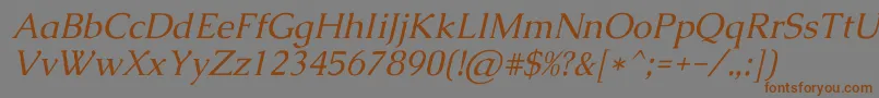 CaudexItalic Font – Brown Fonts on Gray Background