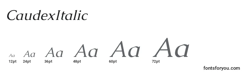 Размеры шрифта CaudexItalic