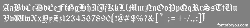 MinisterBlackLight Font – White Fonts on Gray Background