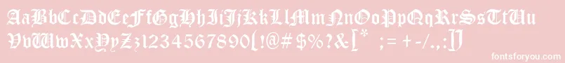 MinisterBlackLight Font – White Fonts on Pink Background