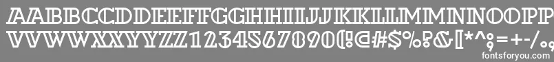 フォントADexterotl – 灰色の背景に白い文字