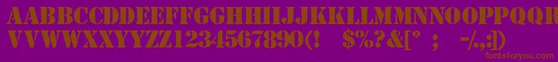 Templatemediumcapsssk Font – Brown Fonts on Purple Background