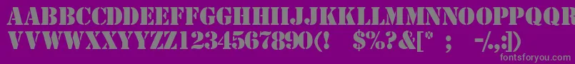 Templatemediumcapsssk Font – Gray Fonts on Purple Background