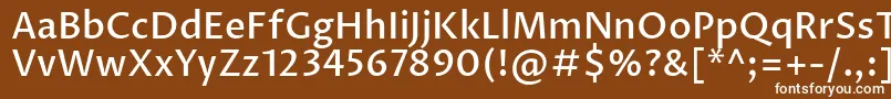 フォントProzalibreMedium – 茶色の背景に白い文字