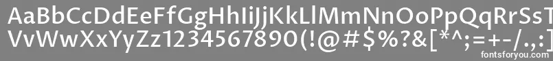 フォントProzalibreMedium – 灰色の背景に白い文字