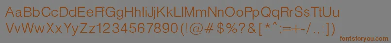 フォントHelveticaLightNormal – 茶色の文字が灰色の背景にあります。