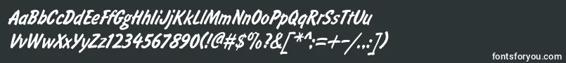 フォントBrushtypeSemiboldItalicRegular – 白い文字