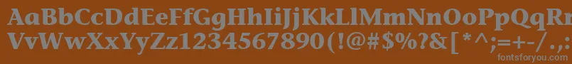 フォントStoneInfItcBold – 茶色の背景に灰色の文字