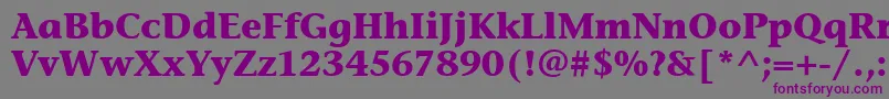 フォントStoneInfItcBold – 紫色のフォント、灰色の背景
