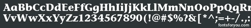 フォントStoneInfItcBold – 黒い背景に白い文字