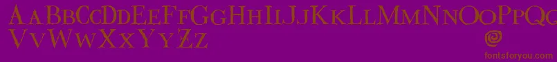 Valdemar Font – Brown Fonts on Purple Background