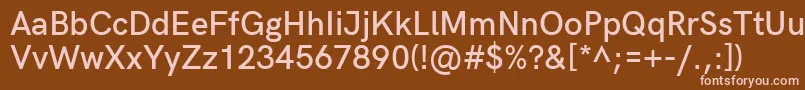 HkgroteskSemiboldlegacy Font – Pink Fonts on Brown Background
