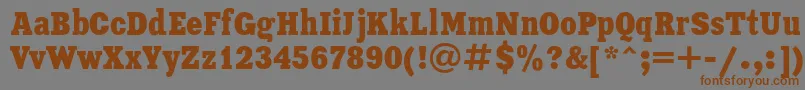 XeniacondensedRegular Font – Brown Fonts on Gray Background