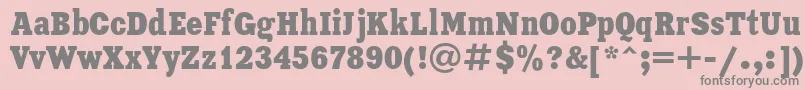 XeniacondensedRegular Font – Gray Fonts on Pink Background