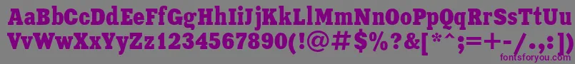 XeniacondensedRegular Font – Purple Fonts on Gray Background